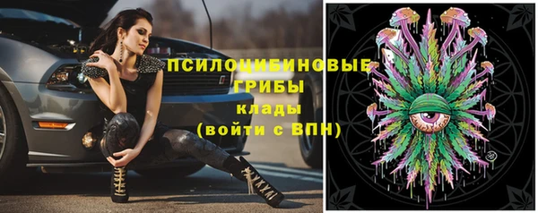 трава Краснослободск